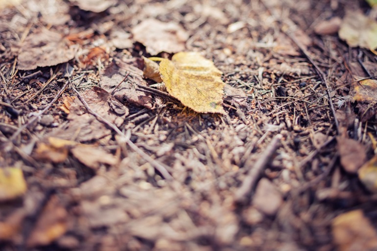 у нас лето-зима)))