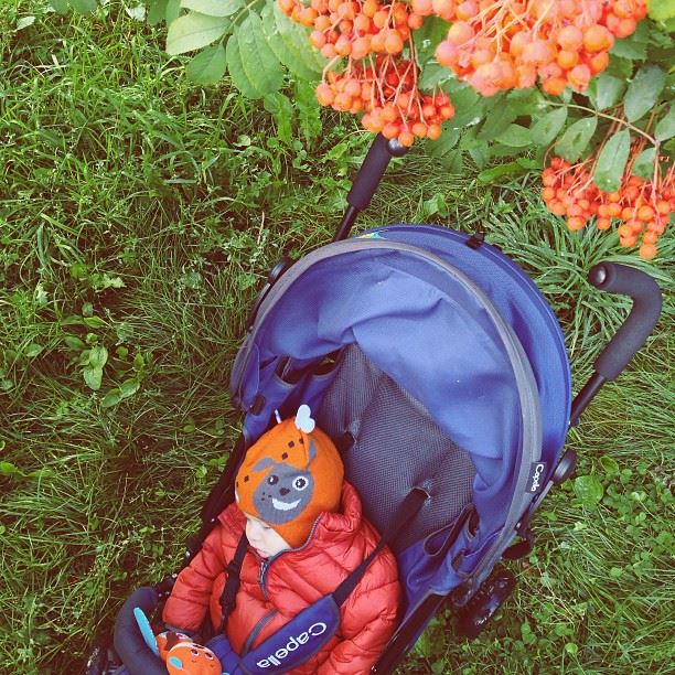 Гордей 8 месяцев + 4 дня