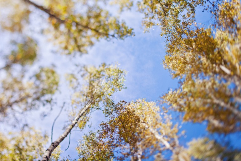 у нас лето-зима)))