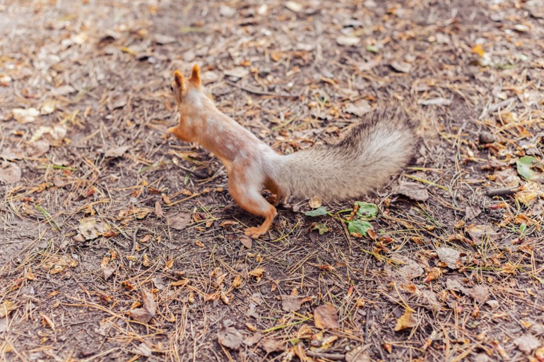 у нас лето-зима)))