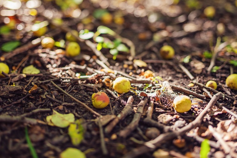 у нас лето-зима)))