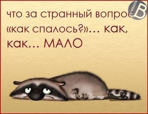 1e11b651fb80ea4dd7b3636a2c0f0d76.jpg