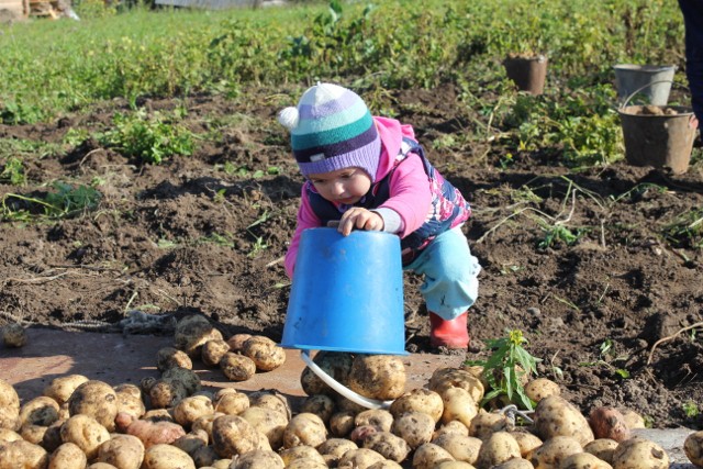 Выходные в деревне
