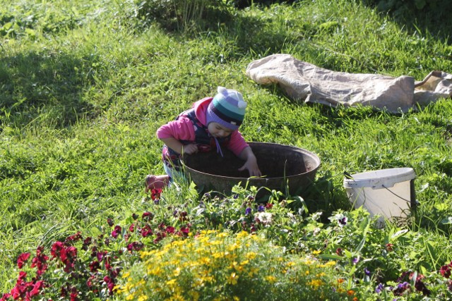 Выходные в деревне