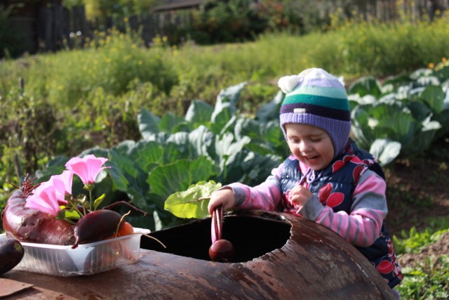 Выходные в деревне