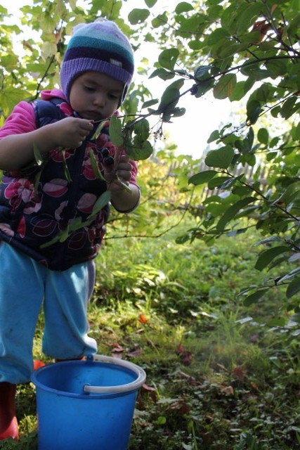 Выходные в деревне