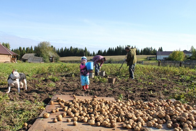Выходные в деревне