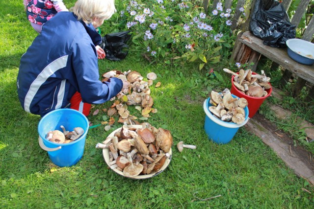 Выходные в деревне