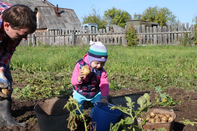 Выходные в деревне