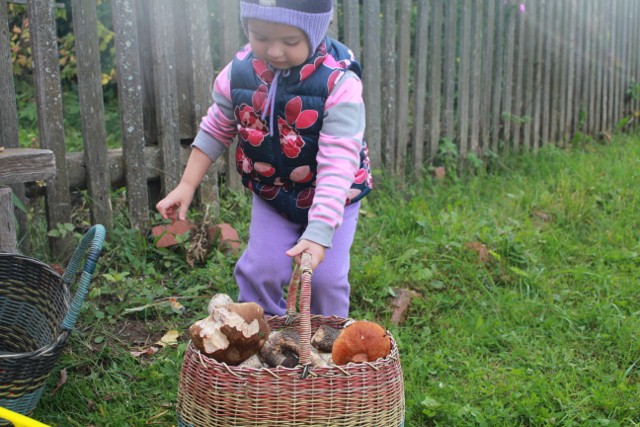 Выходные в деревне