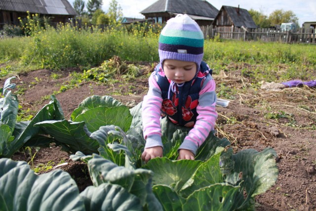 Выходные в деревне