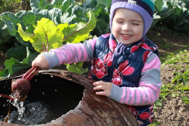 Выходные в деревне