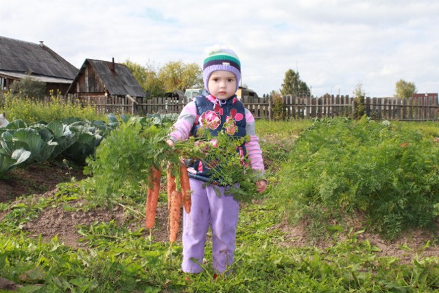 Выходные в деревне