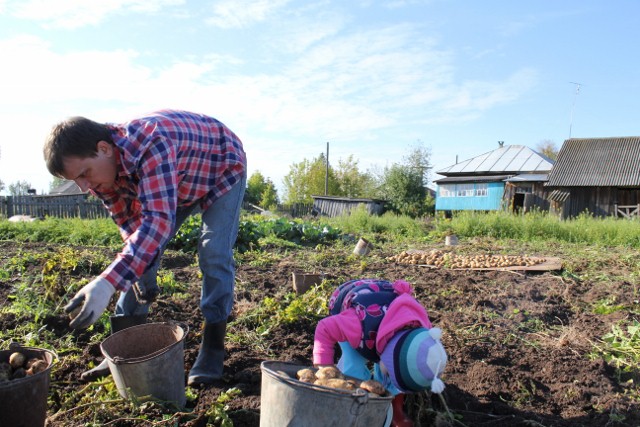 Выходные в деревне