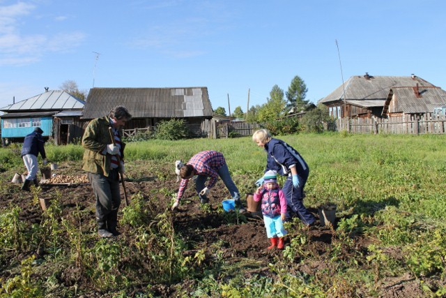 Выходные в деревне