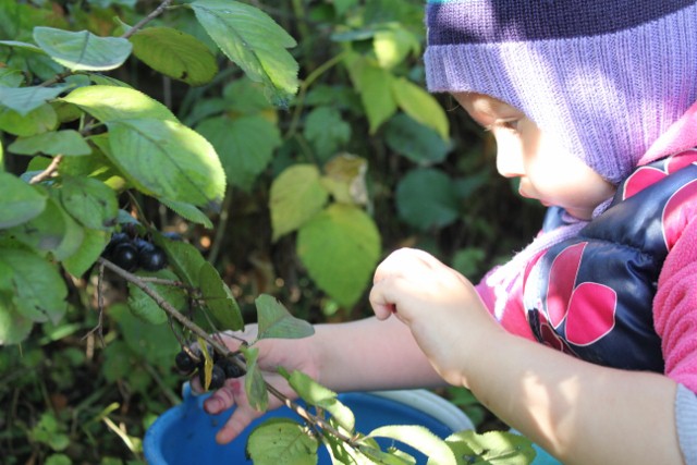 Выходные в деревне