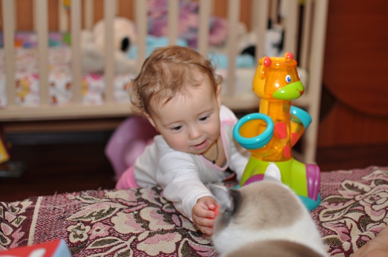 Последний юбилей-11 месяцев.