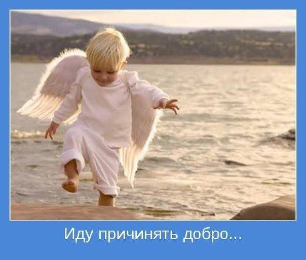 ddb74f2eaf45b1c21833b6e5a7cf21e2.jpg