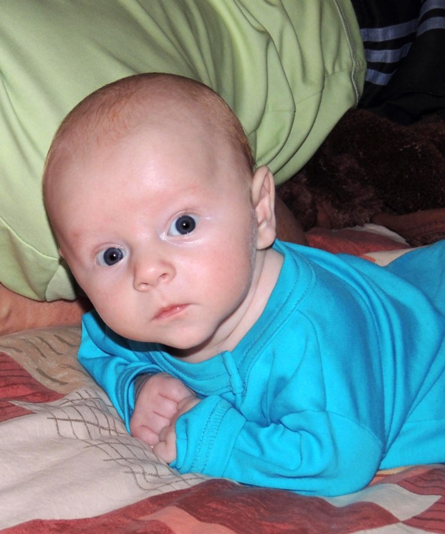 2 с половиной месяца