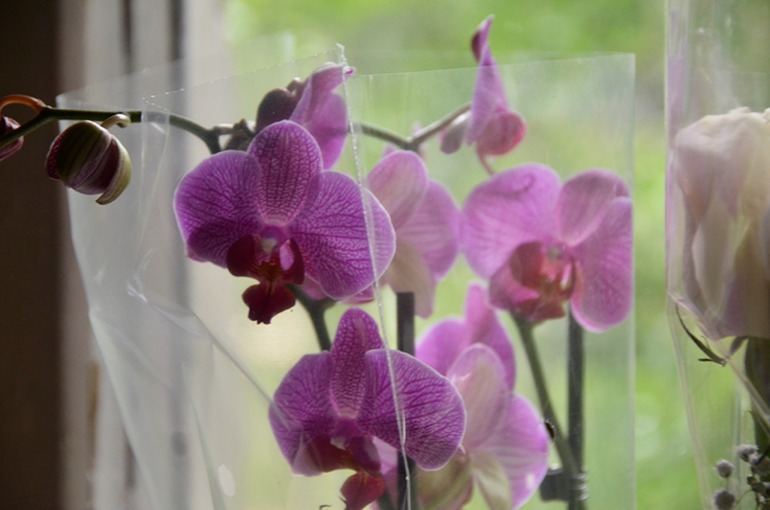 Теперь и у нас такое чудо.