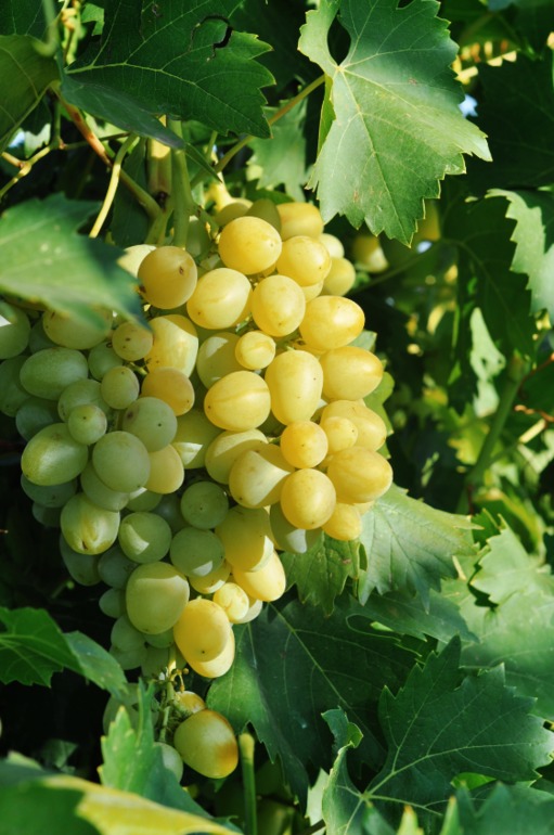 Завтра экзамен