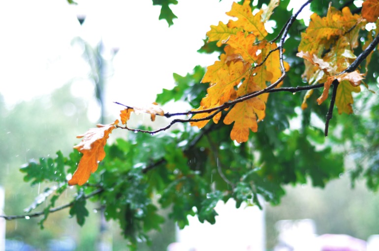 Завтра экзамен