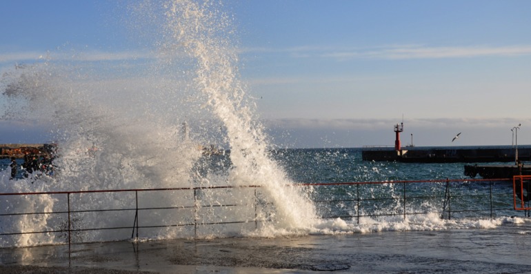 Завтра экзамен