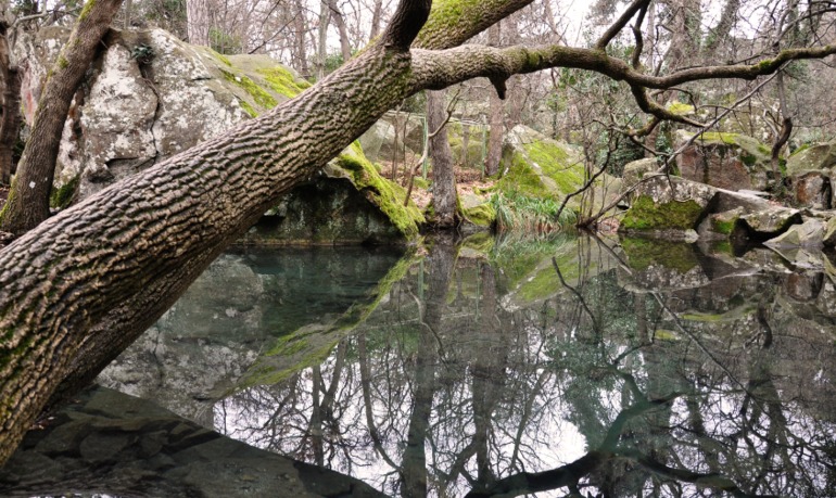 Завтра экзамен