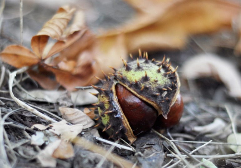 Завтра экзамен