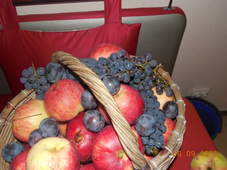 bd58446e8fe0891ca1cd5280098f0493.jpg
