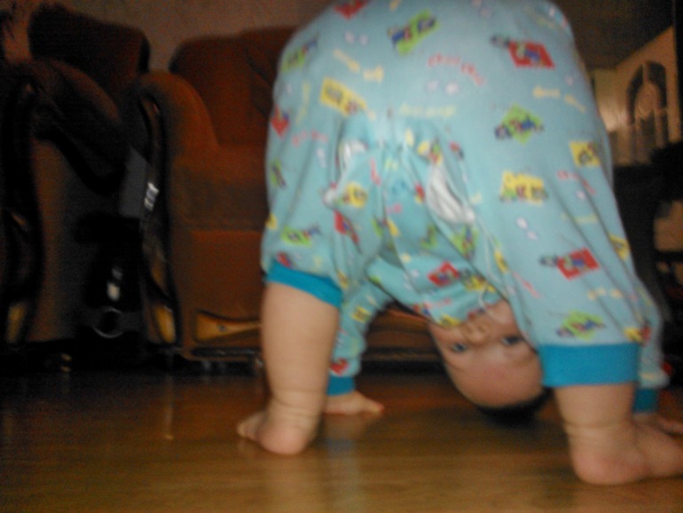 Человек прямоходящий