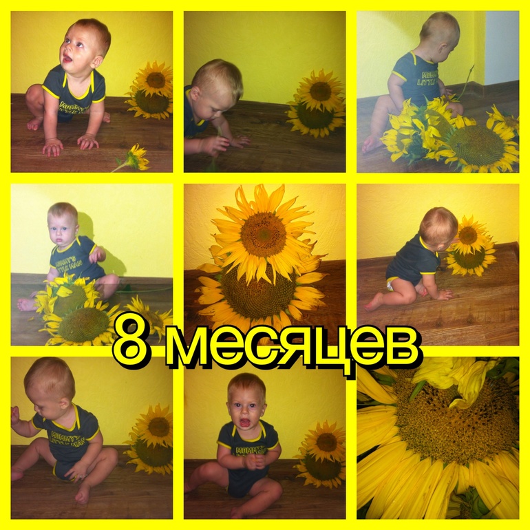 08ddd5552e20ef0f9d5e11840cb36abc.jpg