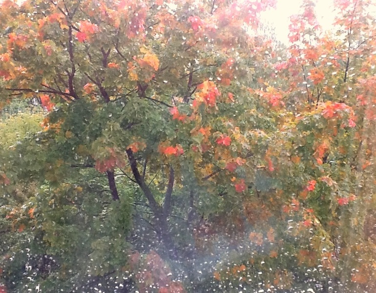 Второй день дождь...