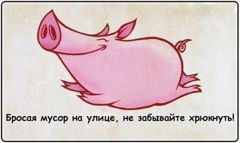 a438fbdce8e970ead0cff10ec68c89da.jpg
