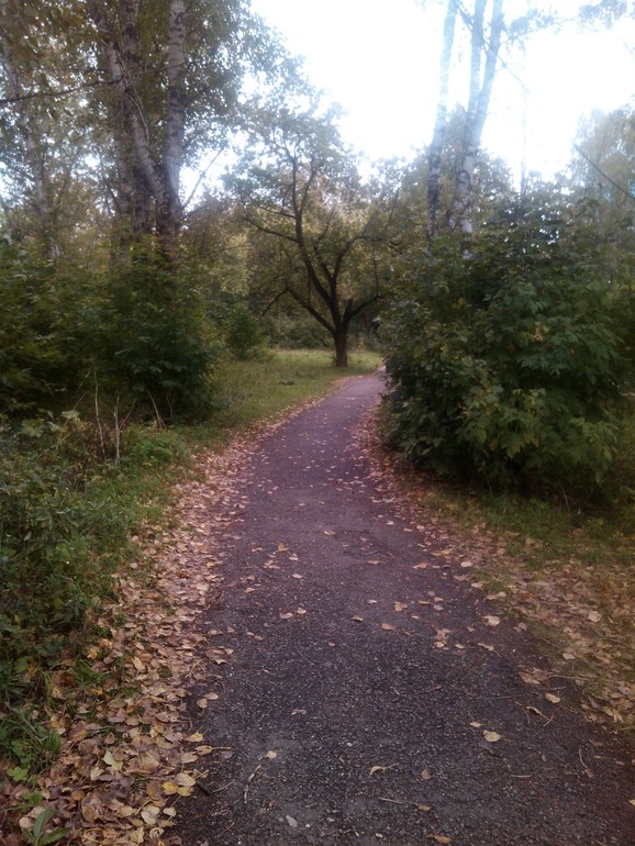 "Улучшение" сквера