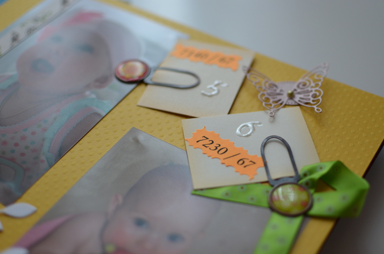 Книга. Мой первый год.