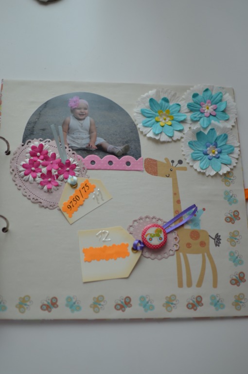 Книга. Мой первый год.