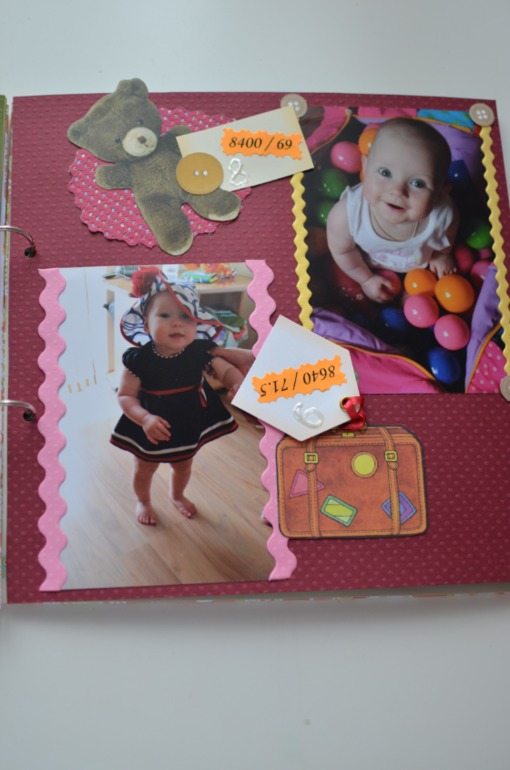 Книга. Мой первый год.