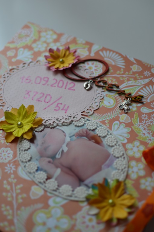 Книга. Мой первый год.