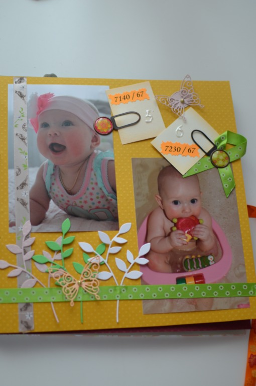 Книга. Мой первый год.