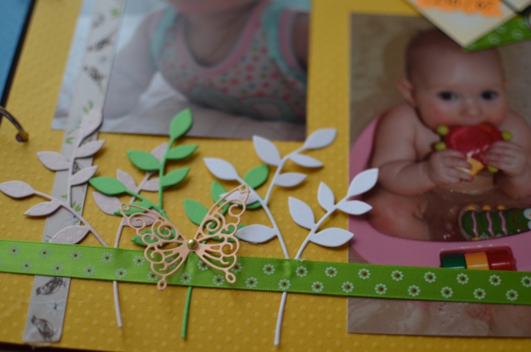 Книга. Мой первый год.