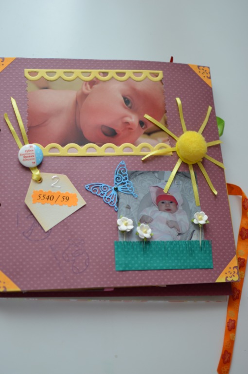 Книга. Мой первый год.