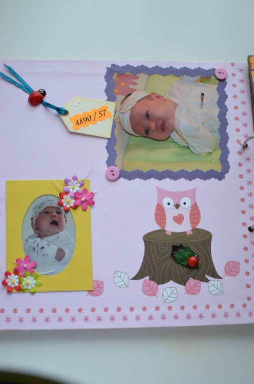 Книга. Мой первый год.