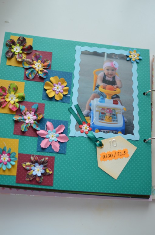 Книга. Мой первый год.