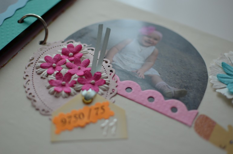 Книга. Мой первый год.