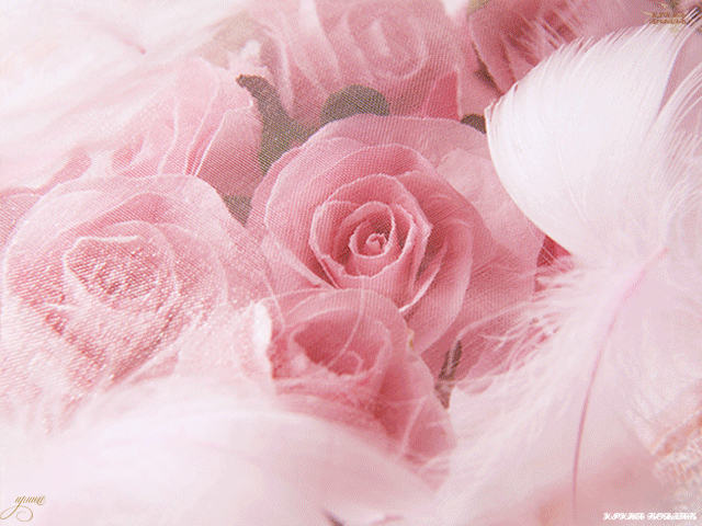 43e8505279d317711f71bcbb7f5ce8f7.gif