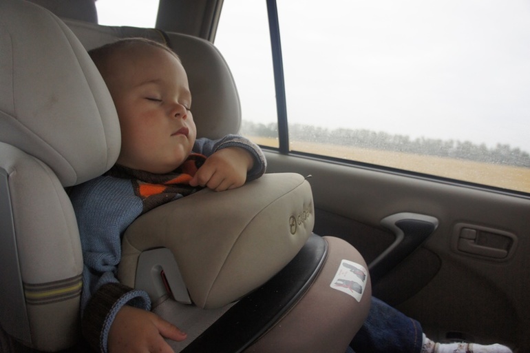 Барнаульский зоопарк