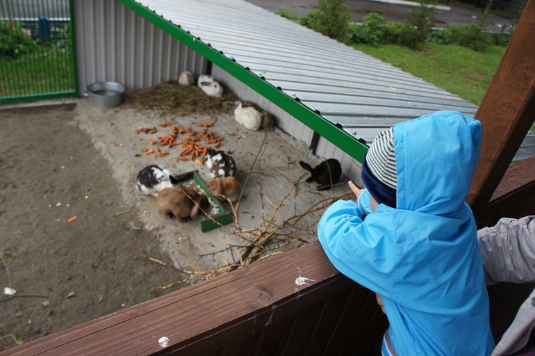 Барнаульский зоопарк