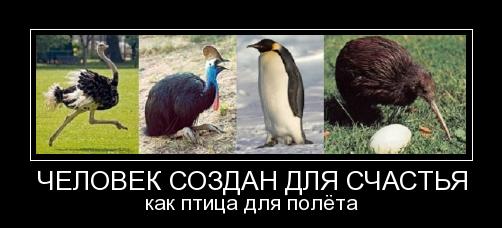 acf52a4573a575a41e5a0b798cdc4ba6.jpg