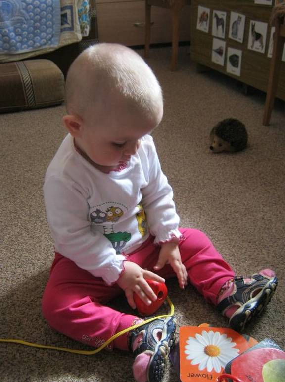 Первая (седьмая) неделя у Бабушки с Дедушкой